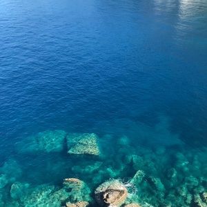 Meet your Posher, Vic